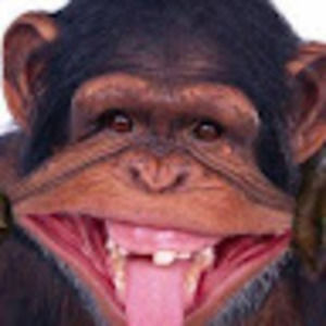 Meet your Posher, Don